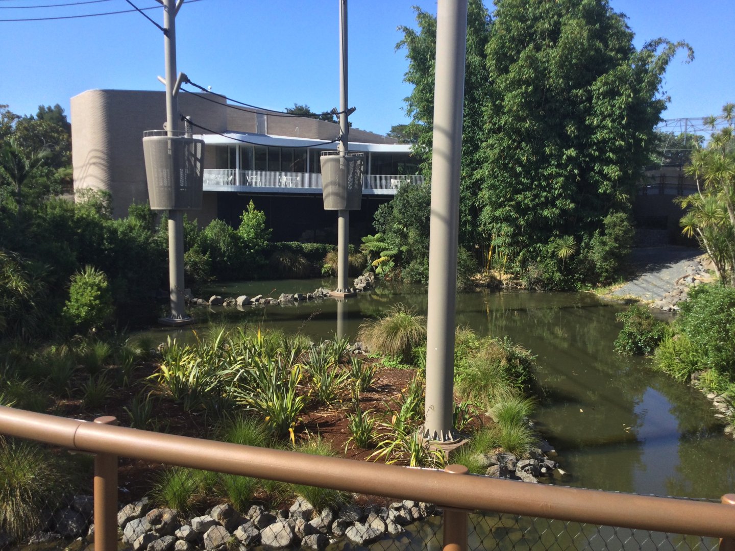 Orangutan Climbing Towers (View from Boardwalk)