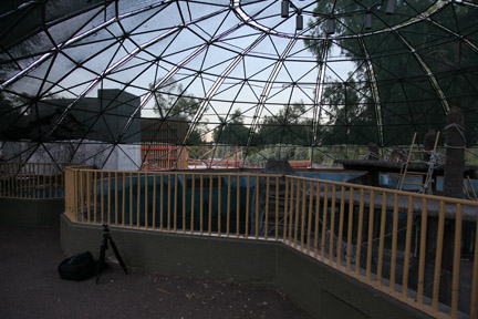 orangutan construction Aug 31, 2010