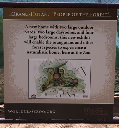 orangutan construction site
