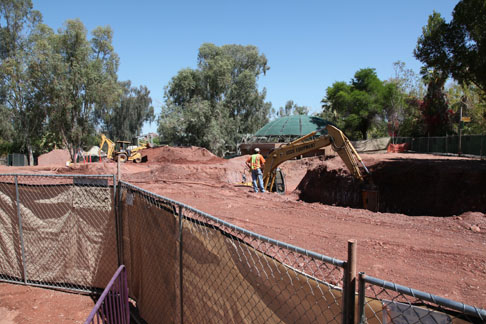 orangutan construction site