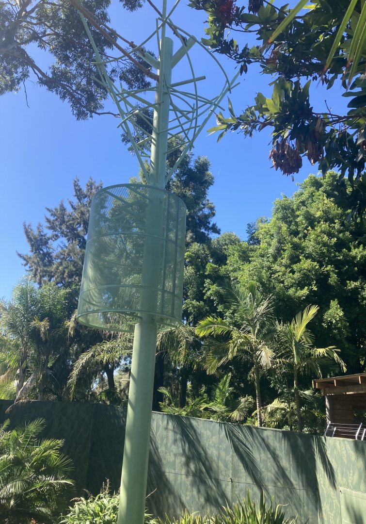 Orangutan Development