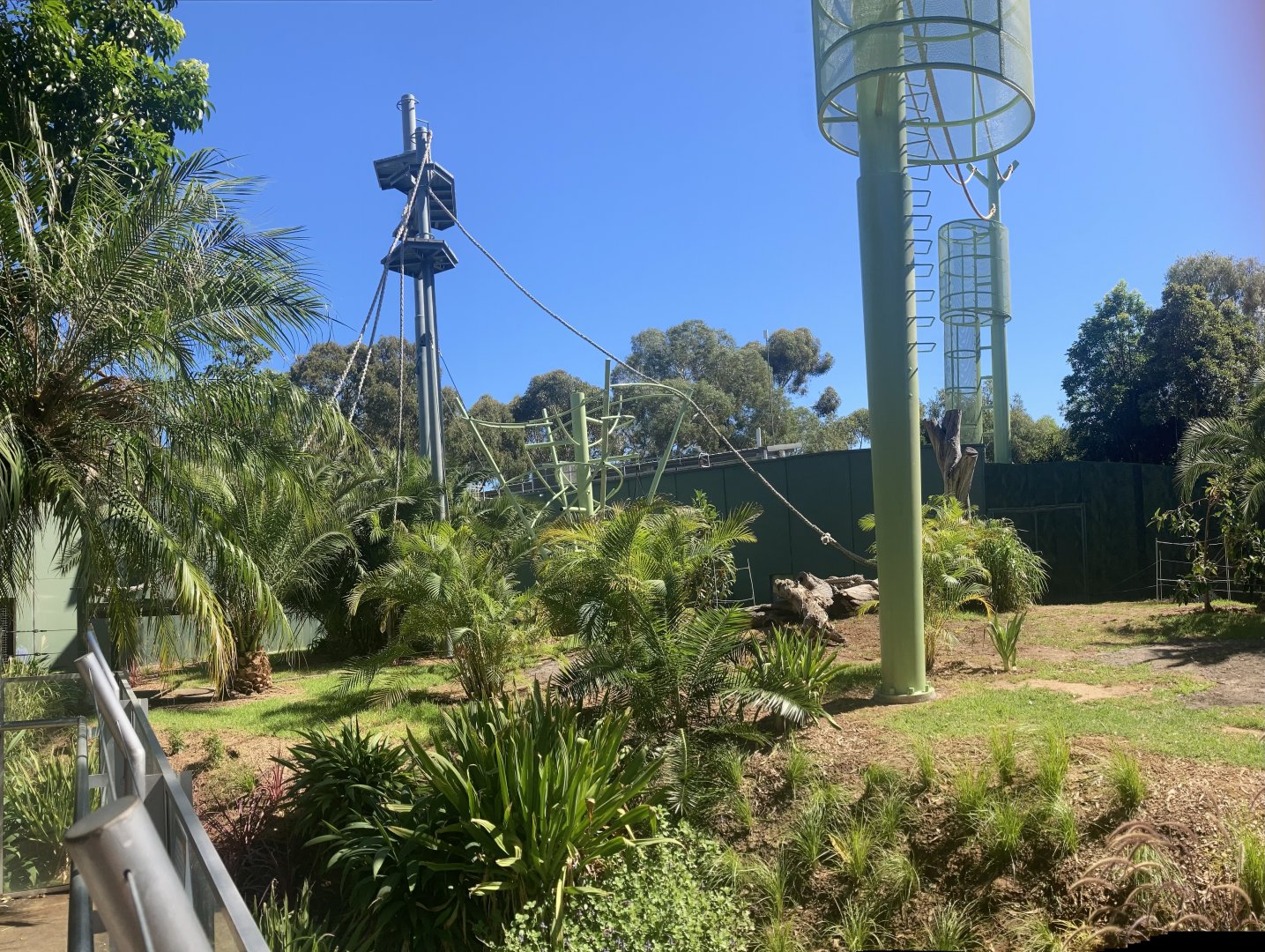 Orangutan Development