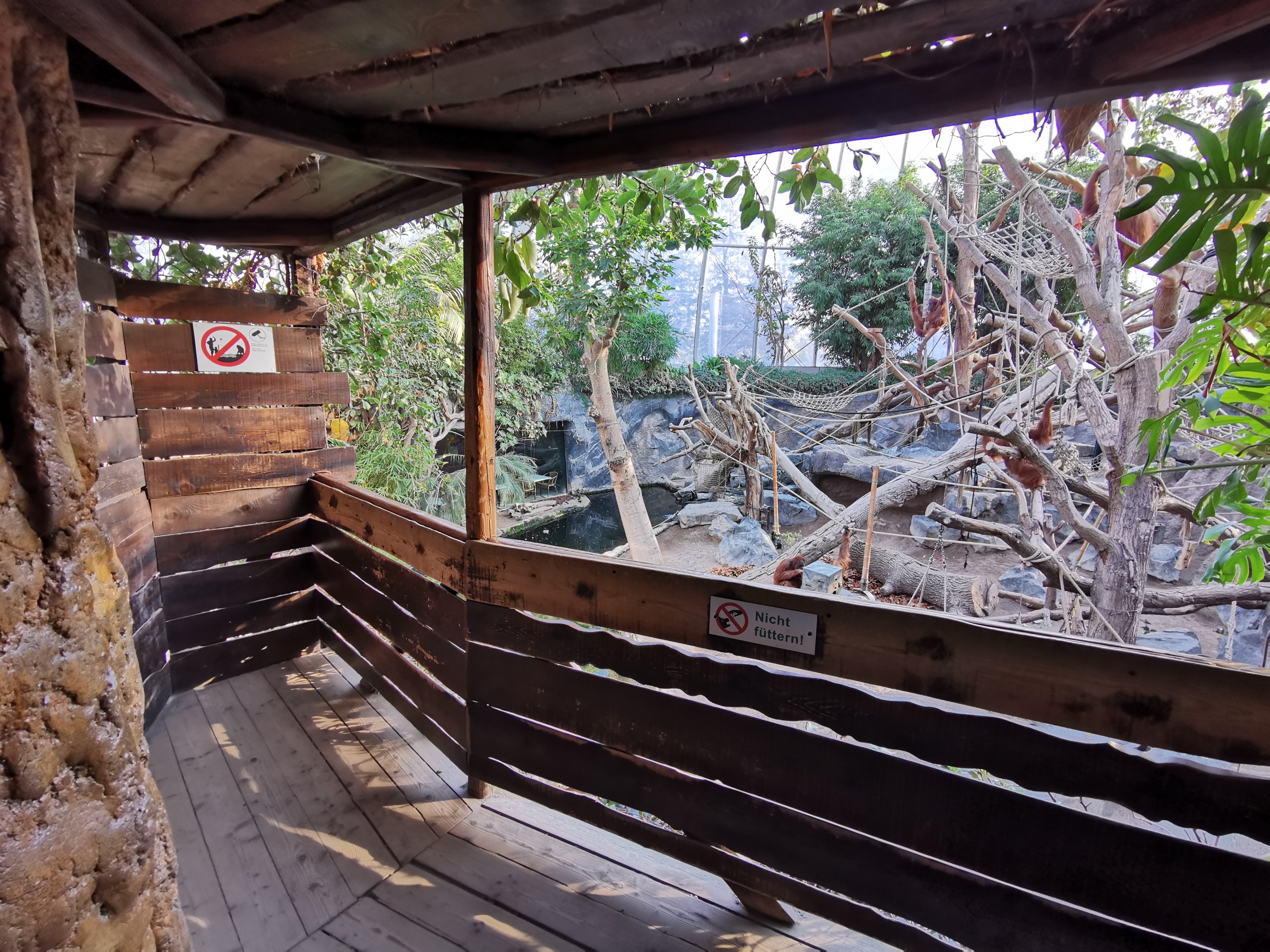 Orangutan dome viewing platform - Tierpark Hagenbeck