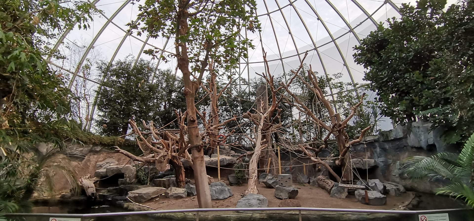 Orangutan Dome