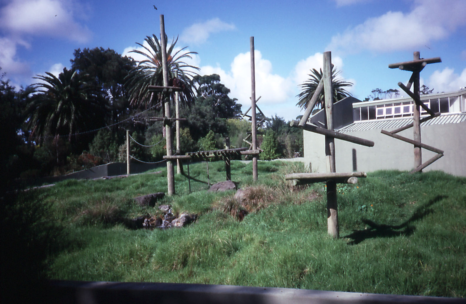Orangutan Enclosure - 1990