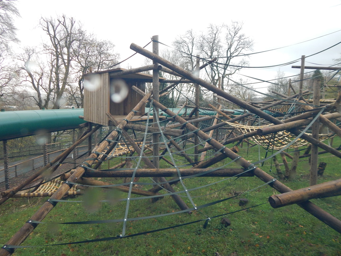 Orangutan enclosure 241122