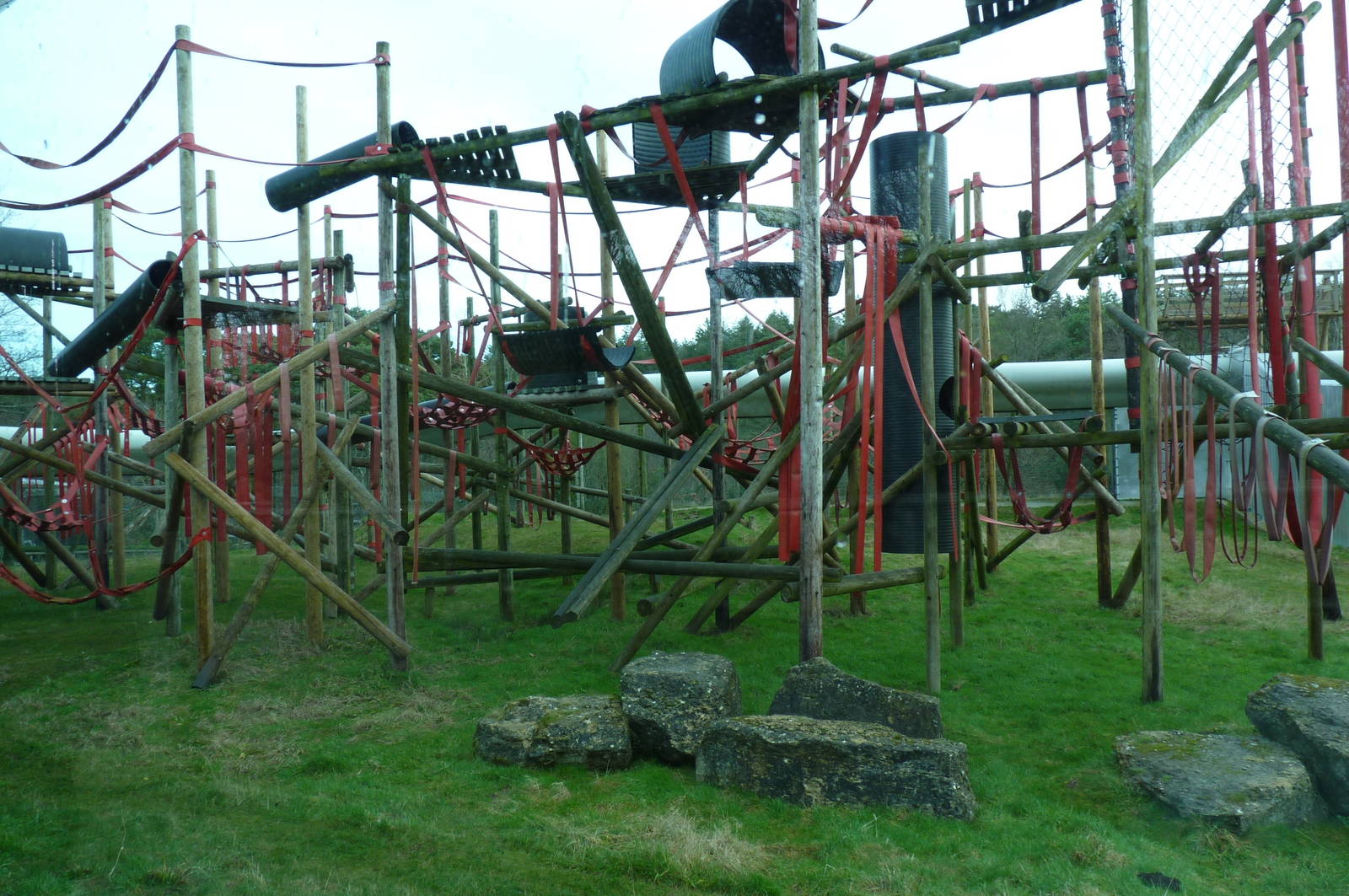 Orangutan Enclosure, 30 December 2012
