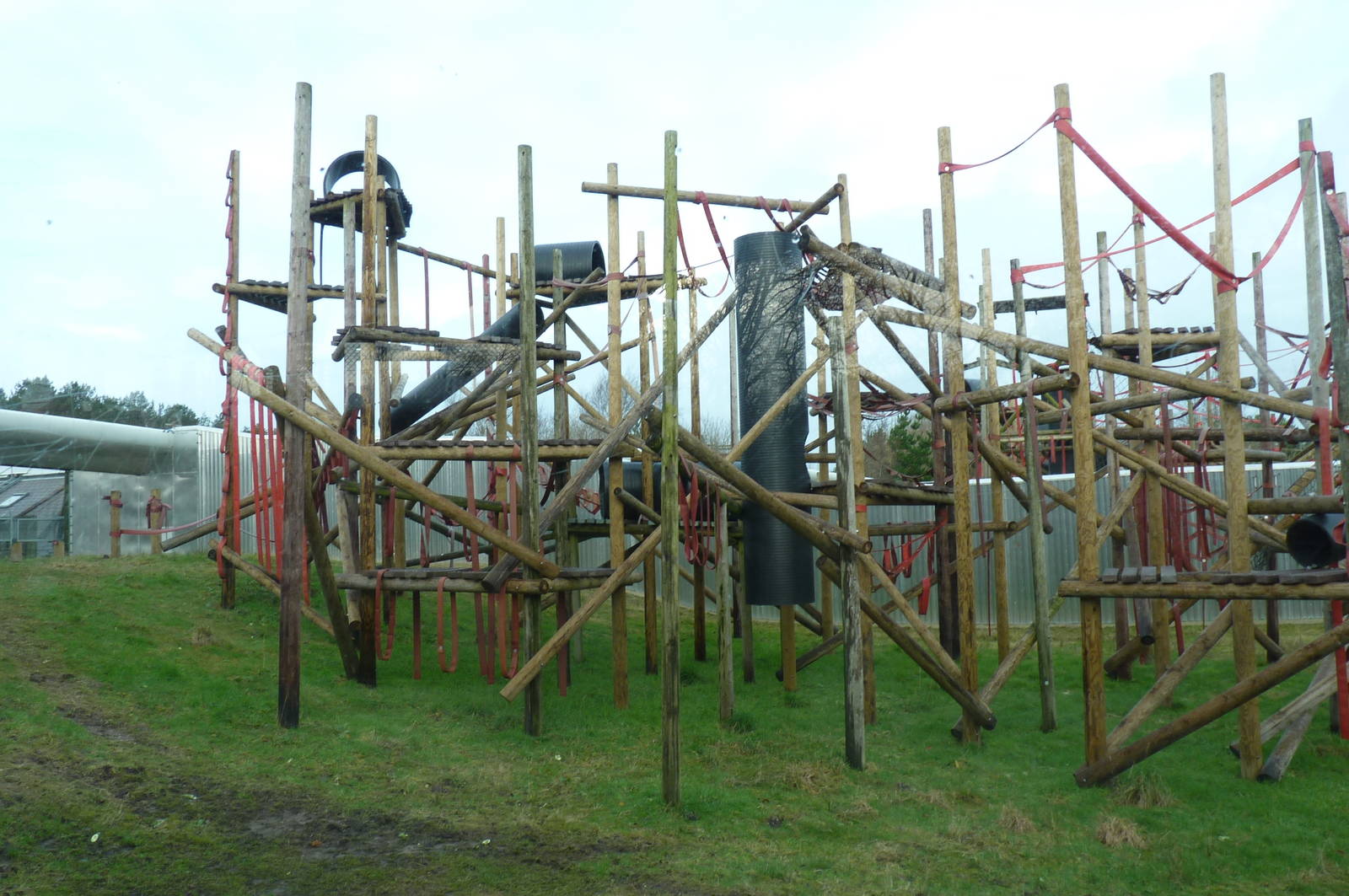 Orangutan enclosure, 30 December 2012