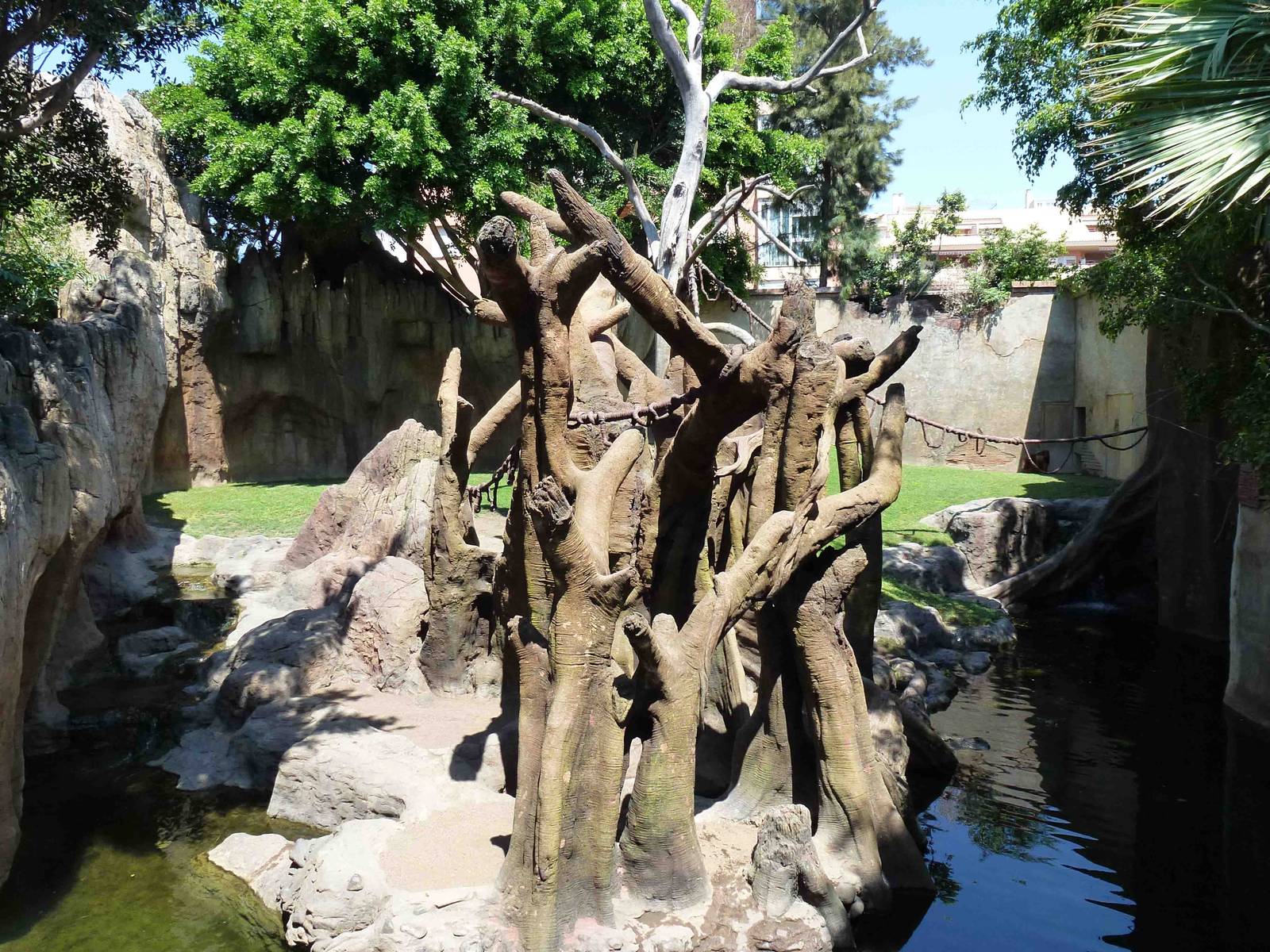 Orangutan enclosure, July 2013.
