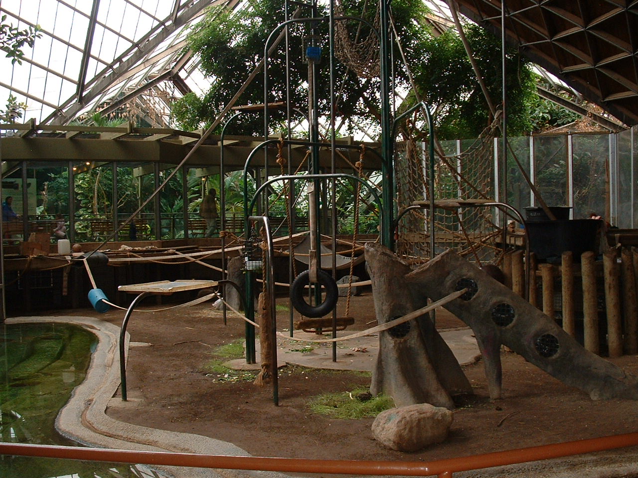 Orangutan Enclosure - Nov 2012