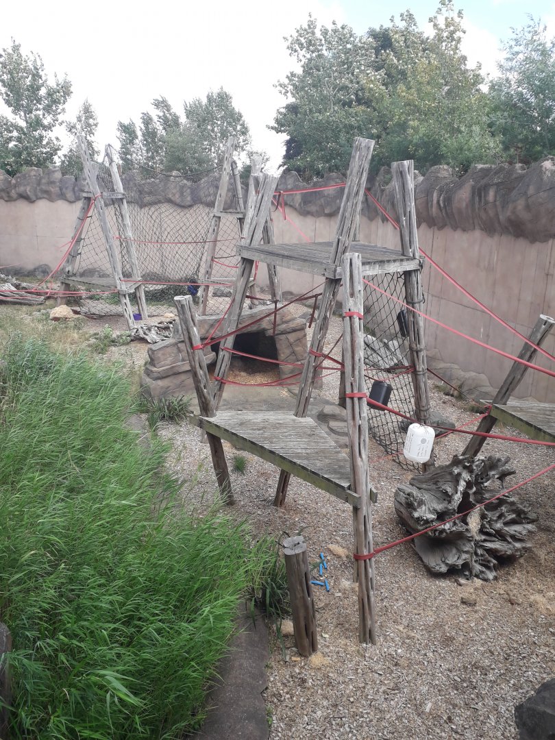 Orangutan enclosure outdoors