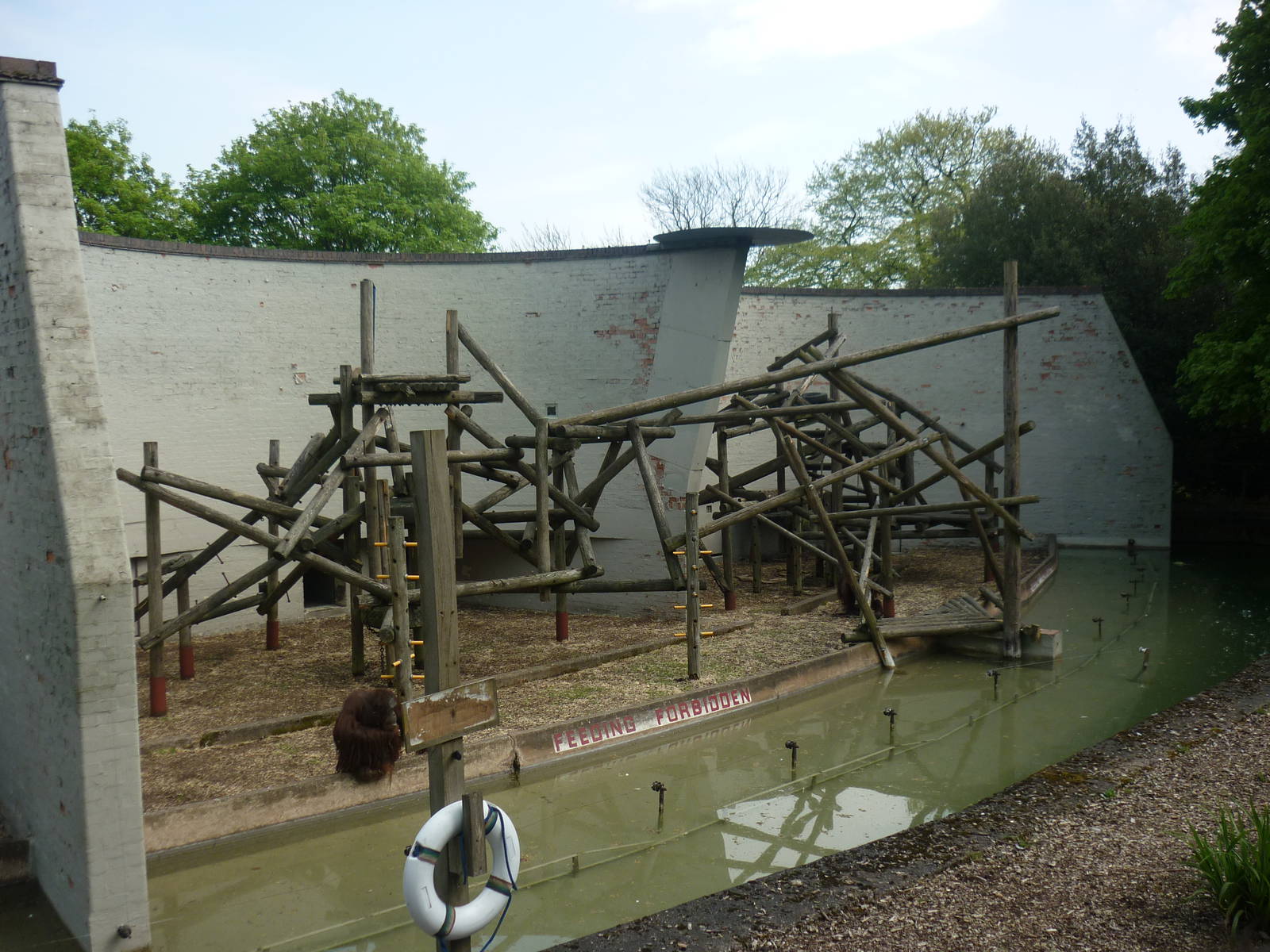 Orangutan enclosure right