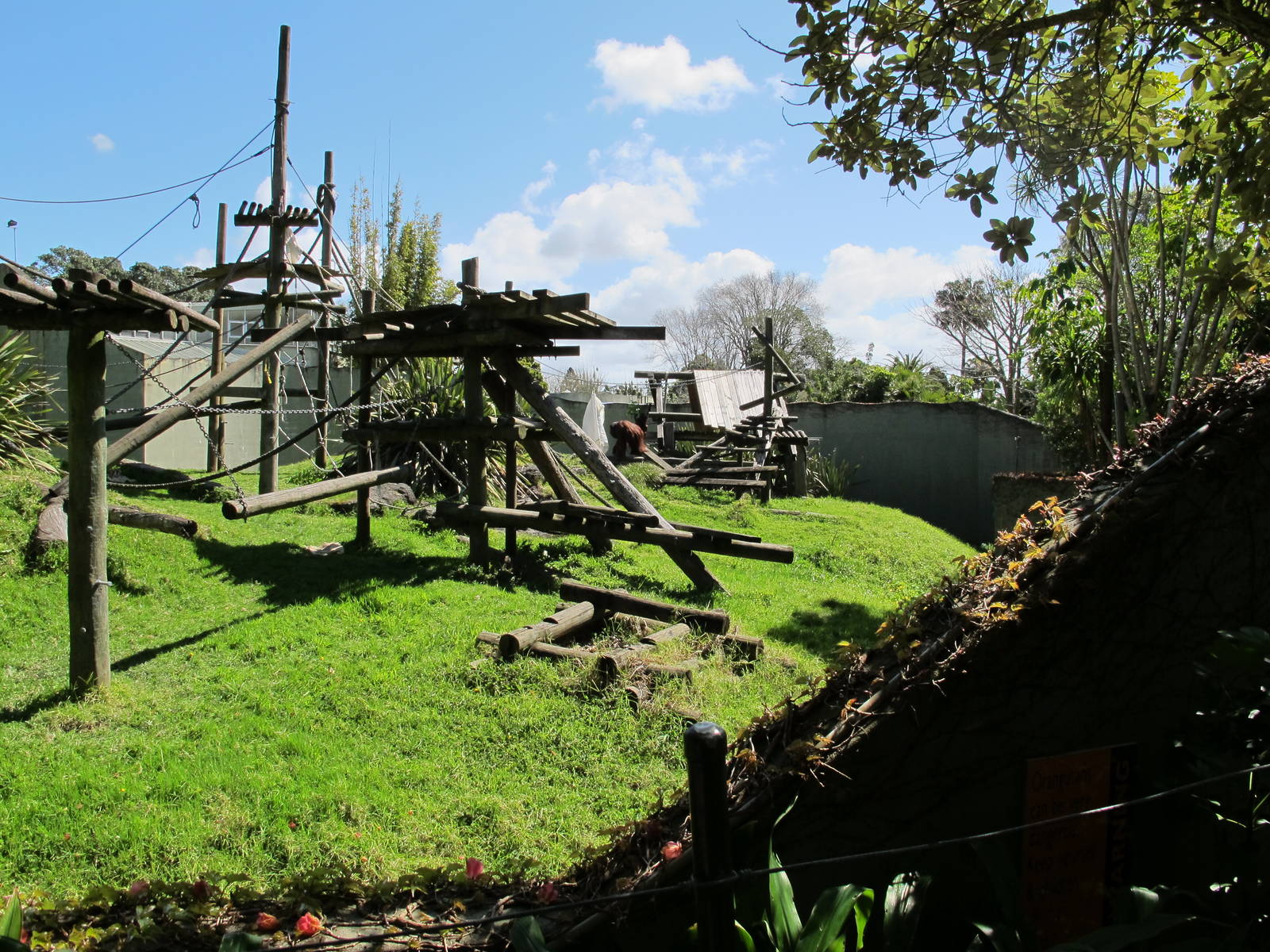 Orangutan Enclosure, September 2011