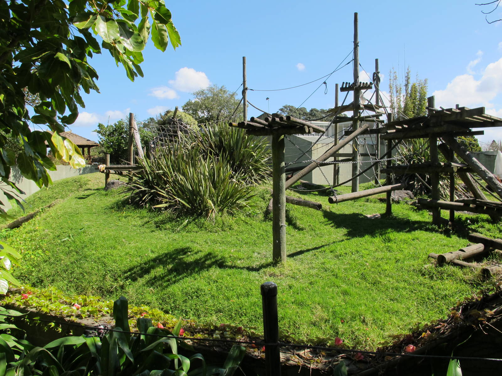 Orangutan Enclosure, September 2011