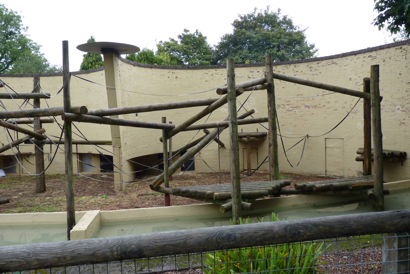 Orangutan enclosure, September 2016
