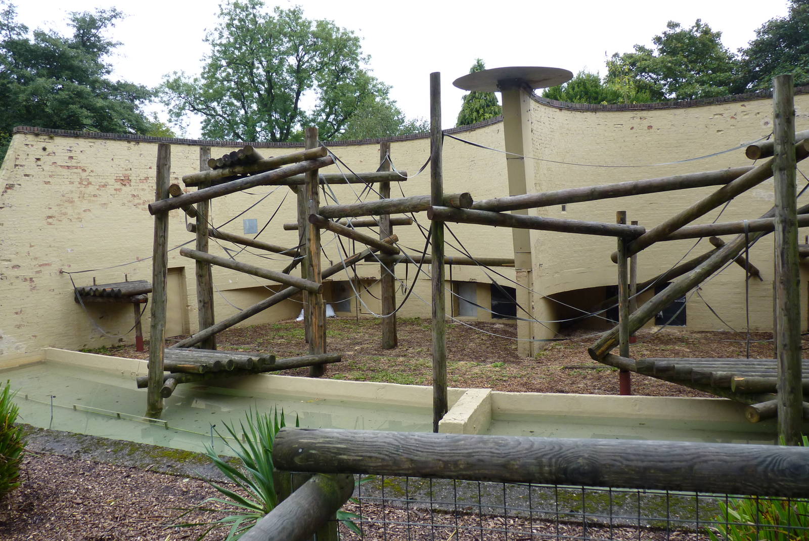Orangutan enclosure, September 2016