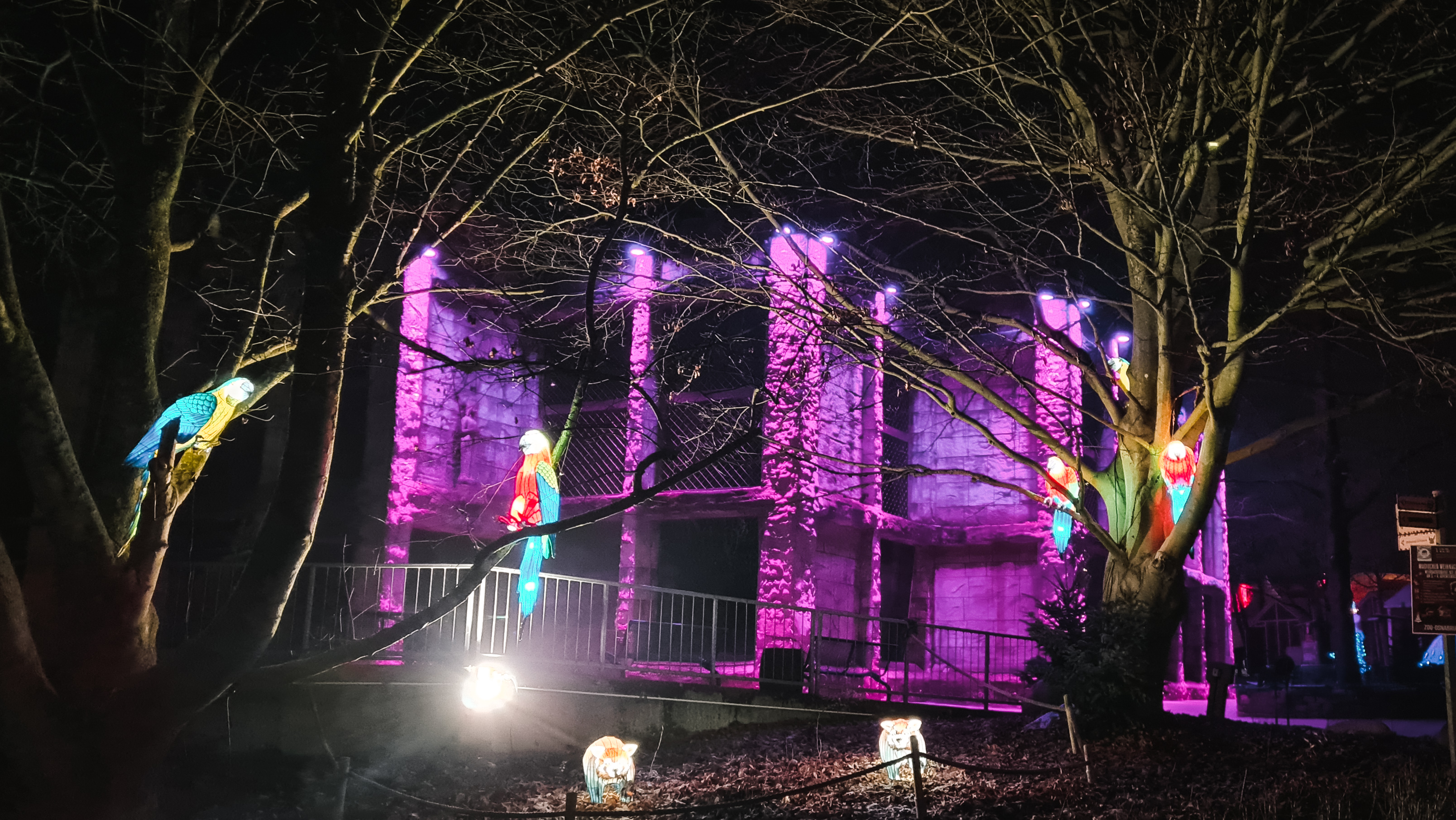 Orangutan enclosure with lights