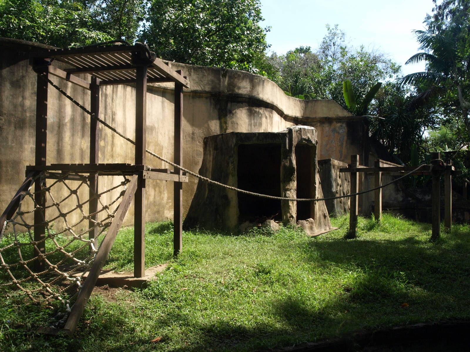 Orangutan enclosure