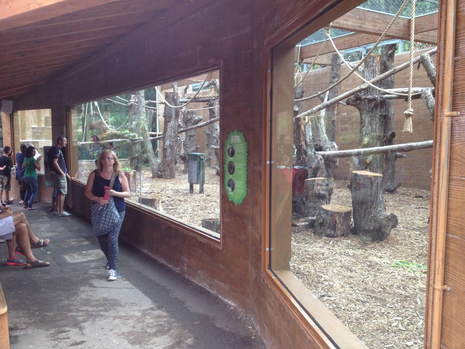 Orangutan Enclosure