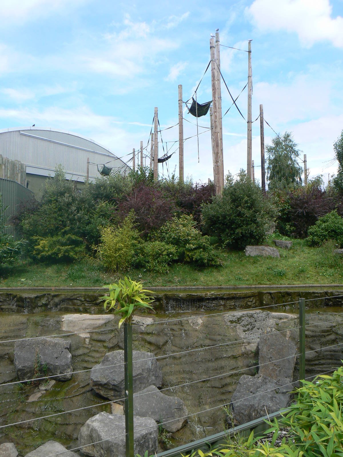 Orangutan Enclosure