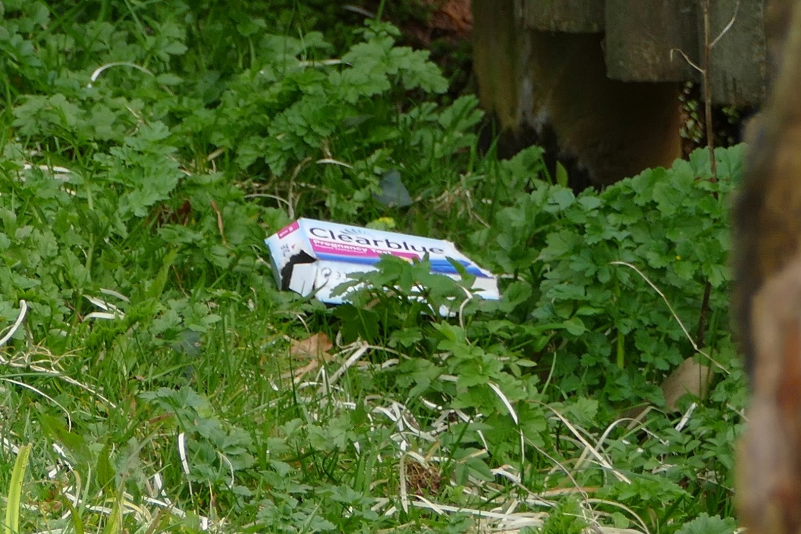 Orangutan enrichment #1, March 2020