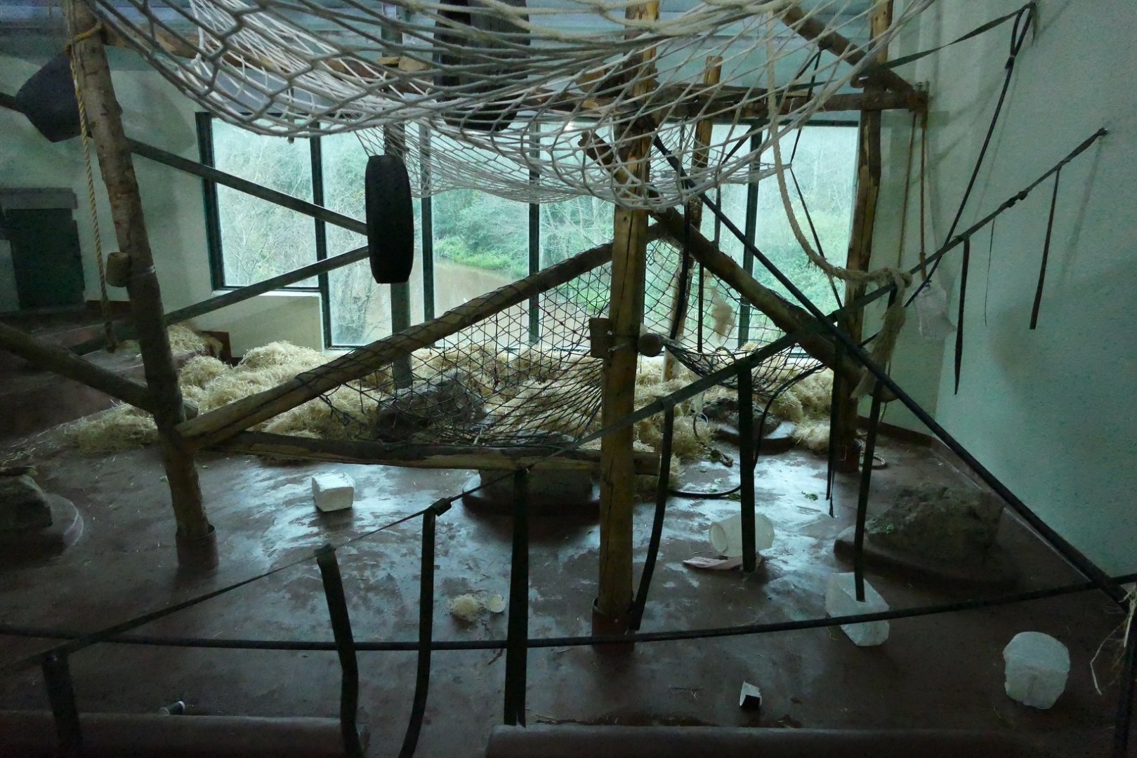 Orangutan enrichment, December 2018