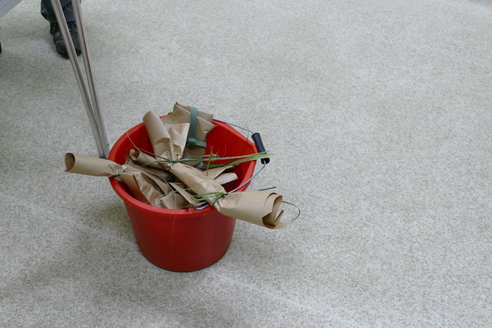 Orangutan enrichment, June 2018