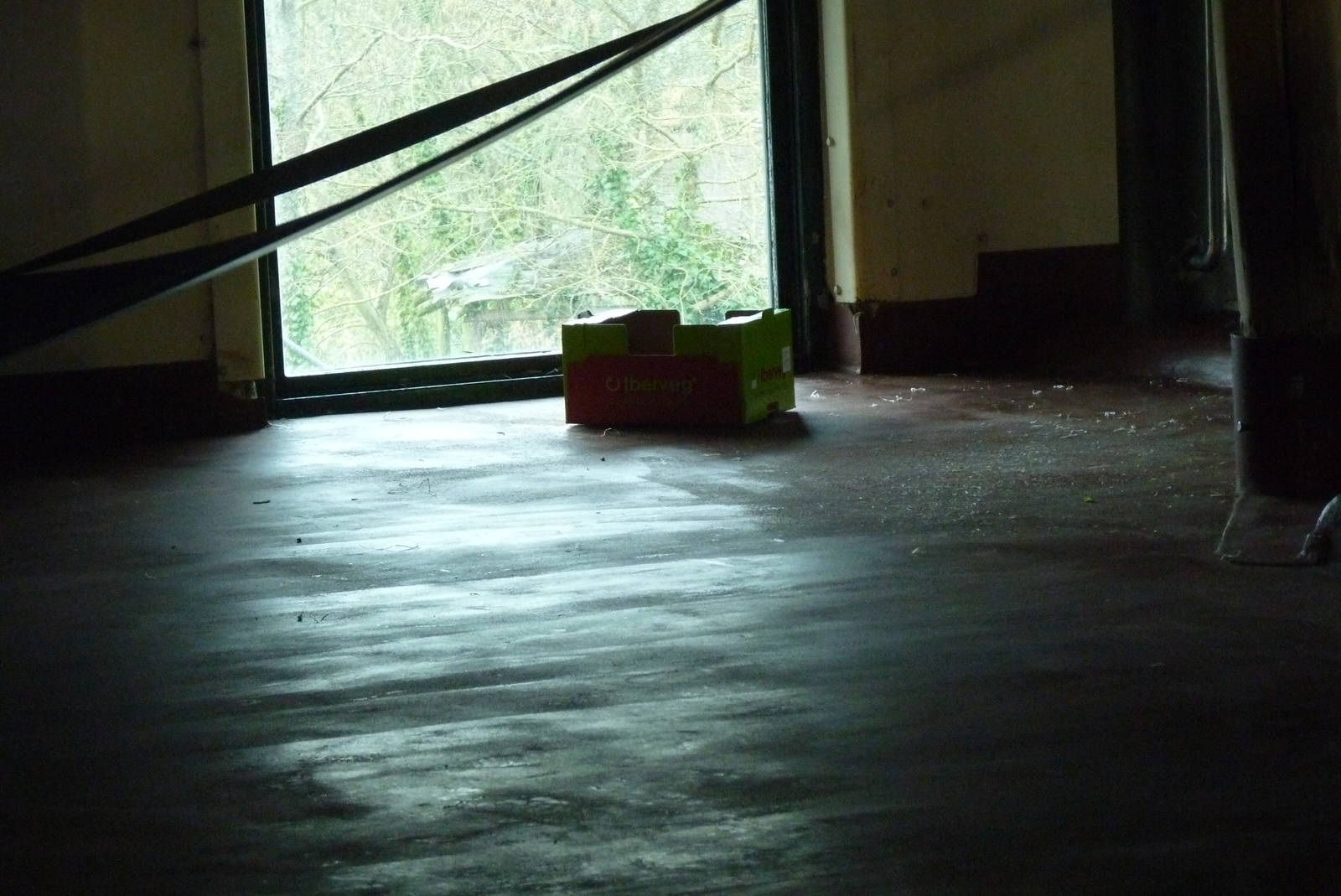 Orangutan enrichment, March 2016