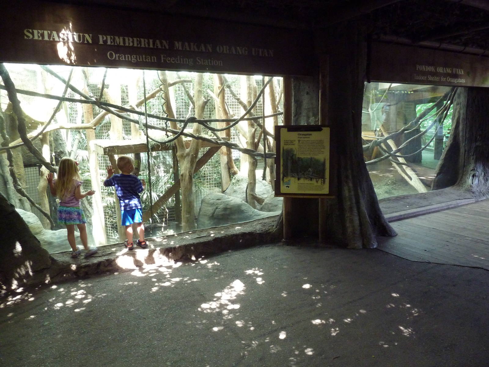 Orangutan Exhibit #1 - Indoor Quarters