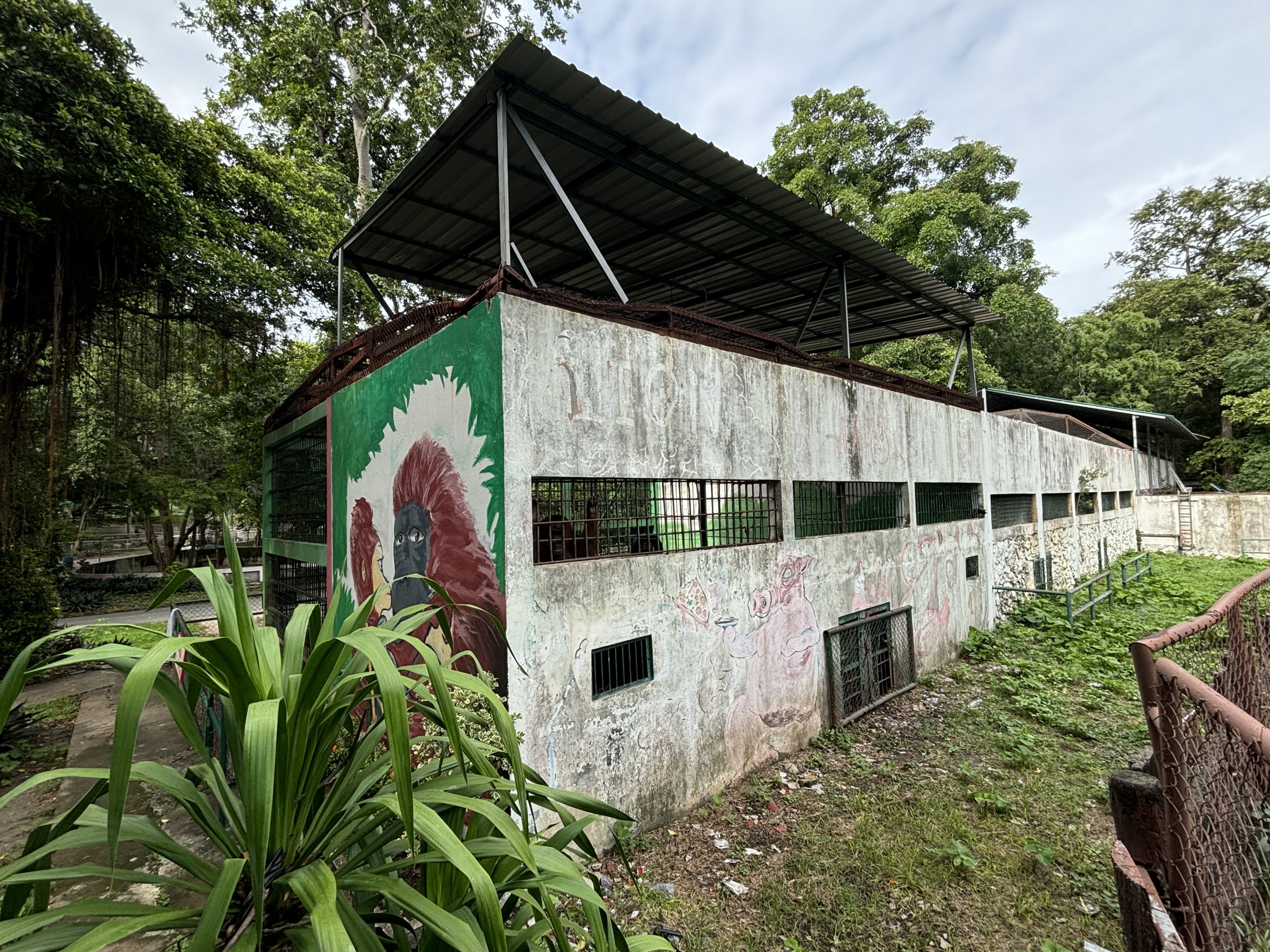Orangutan Exhibit #1 - Lopburi Zoo