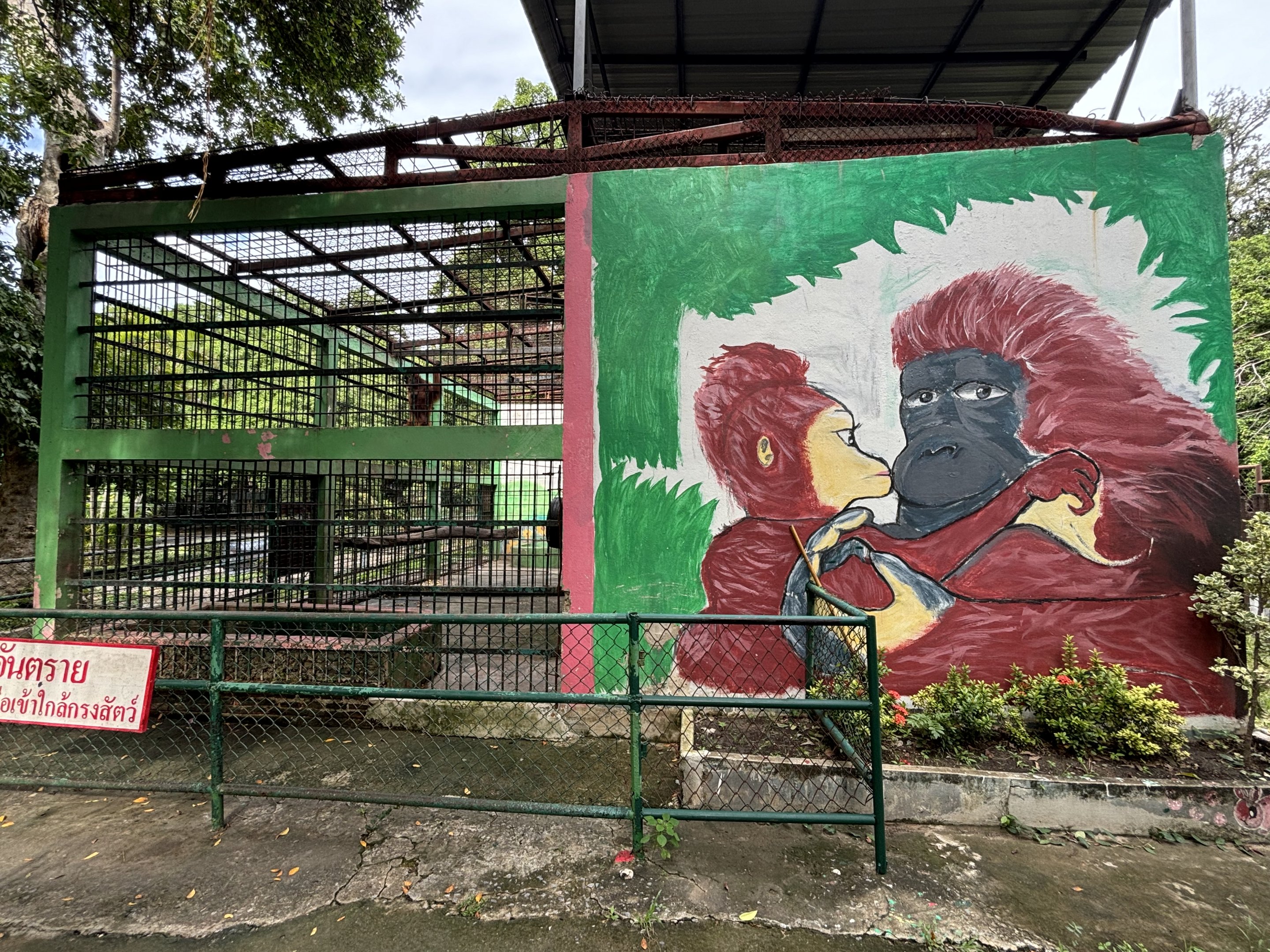 Orangutan Exhibit #1 - Lopburi Zoo