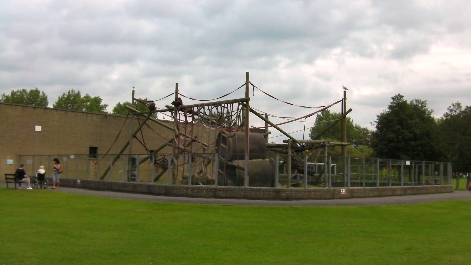 Orangutan Exhibit - 26.08.2011