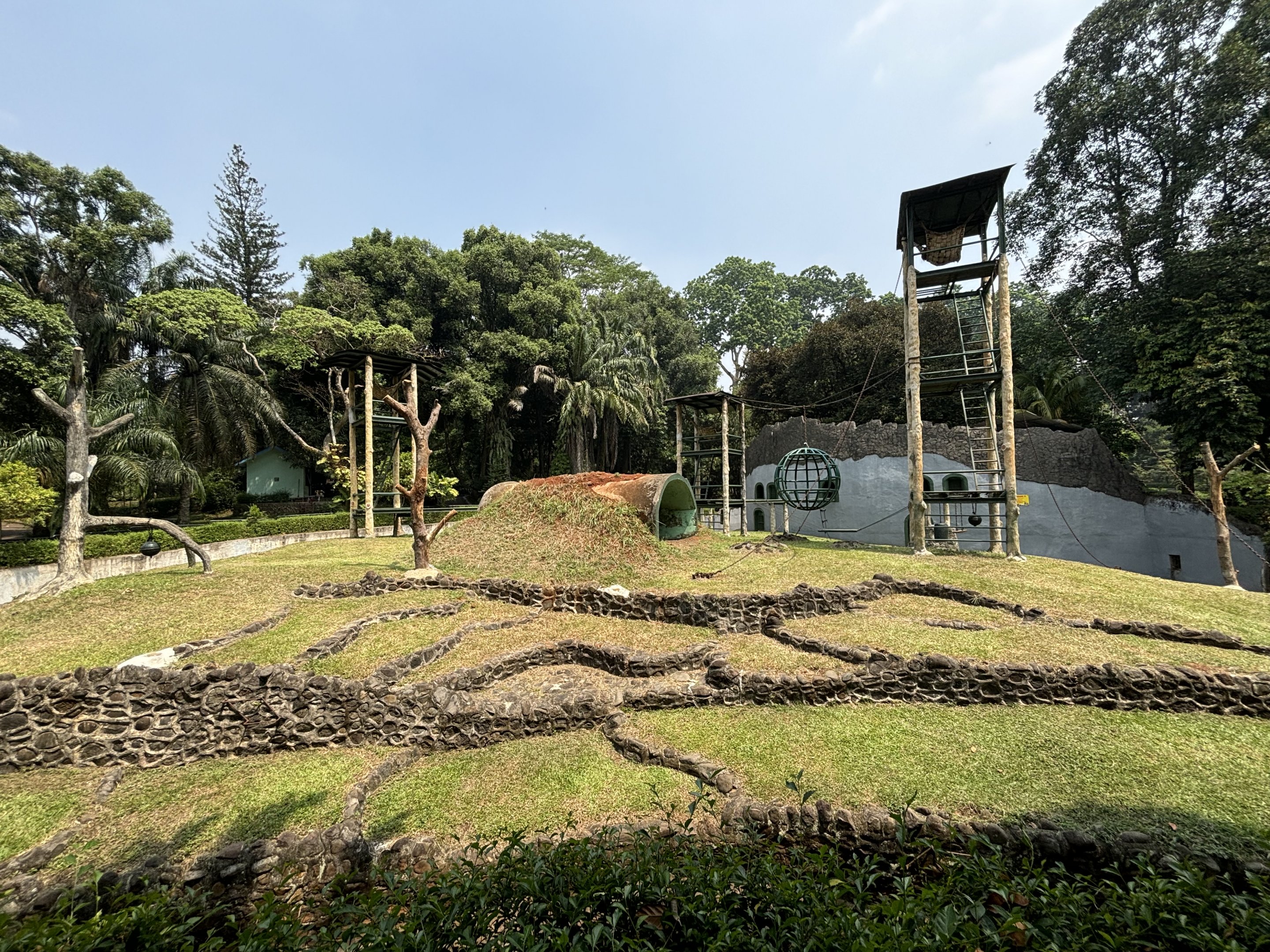 Orangutan Exhibit #9 - Bornean