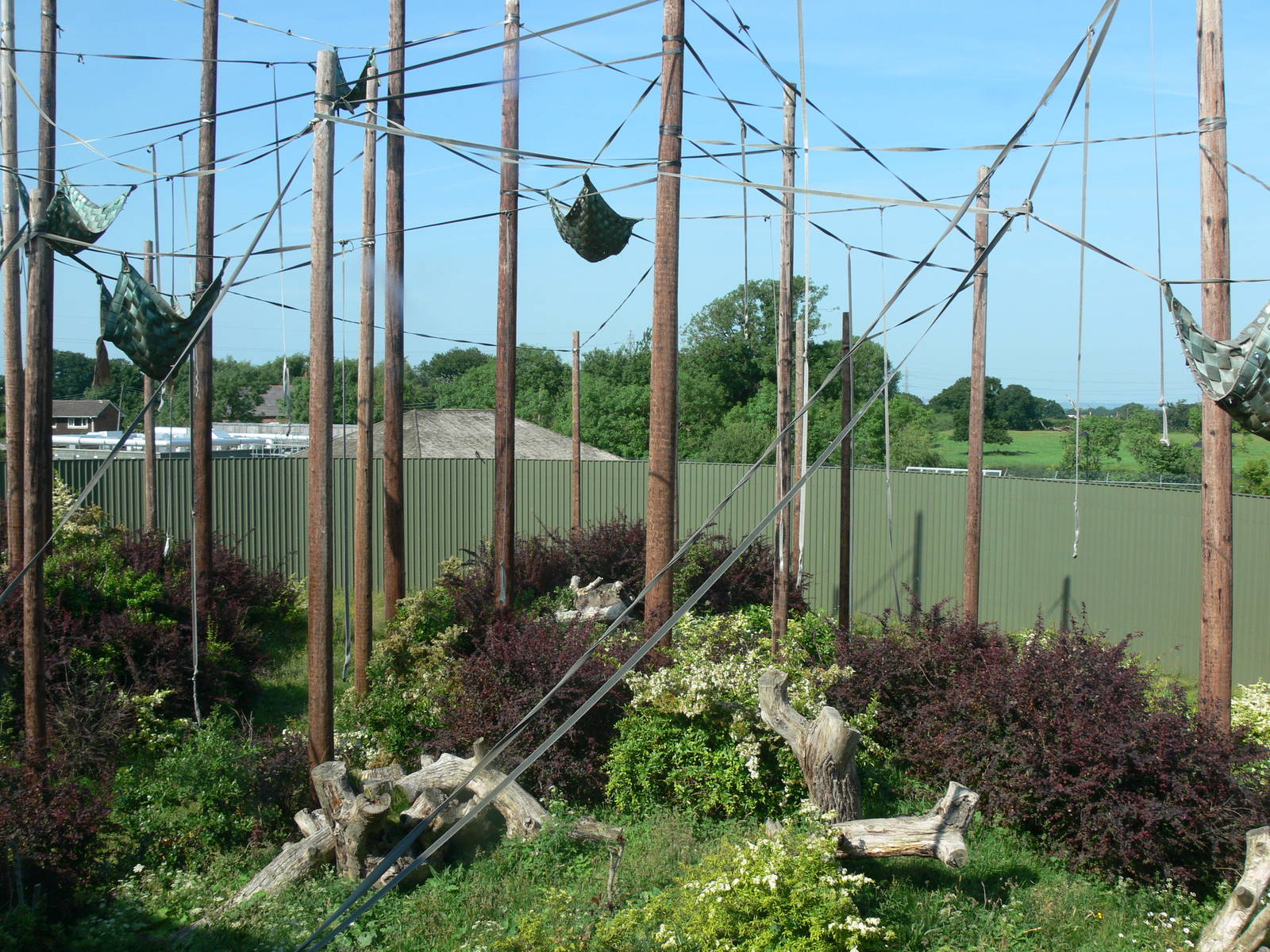Orangutan exhibit at Chester Zoo, 06/07/13