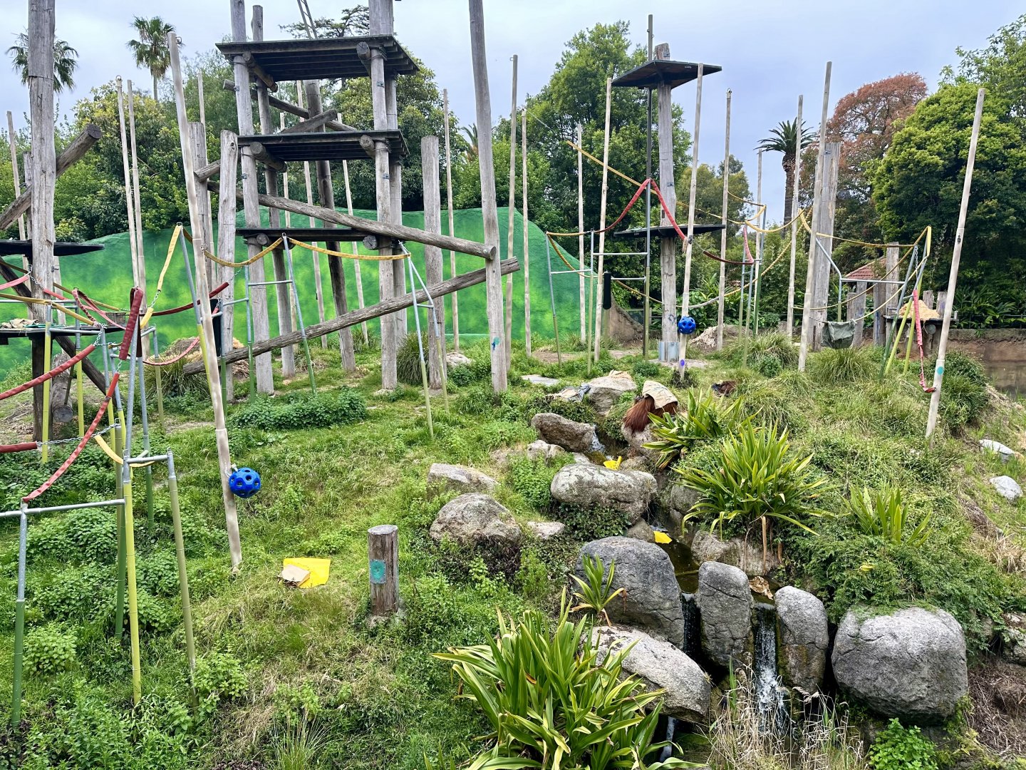 Orangutan Exhibit (Boardwalk View)