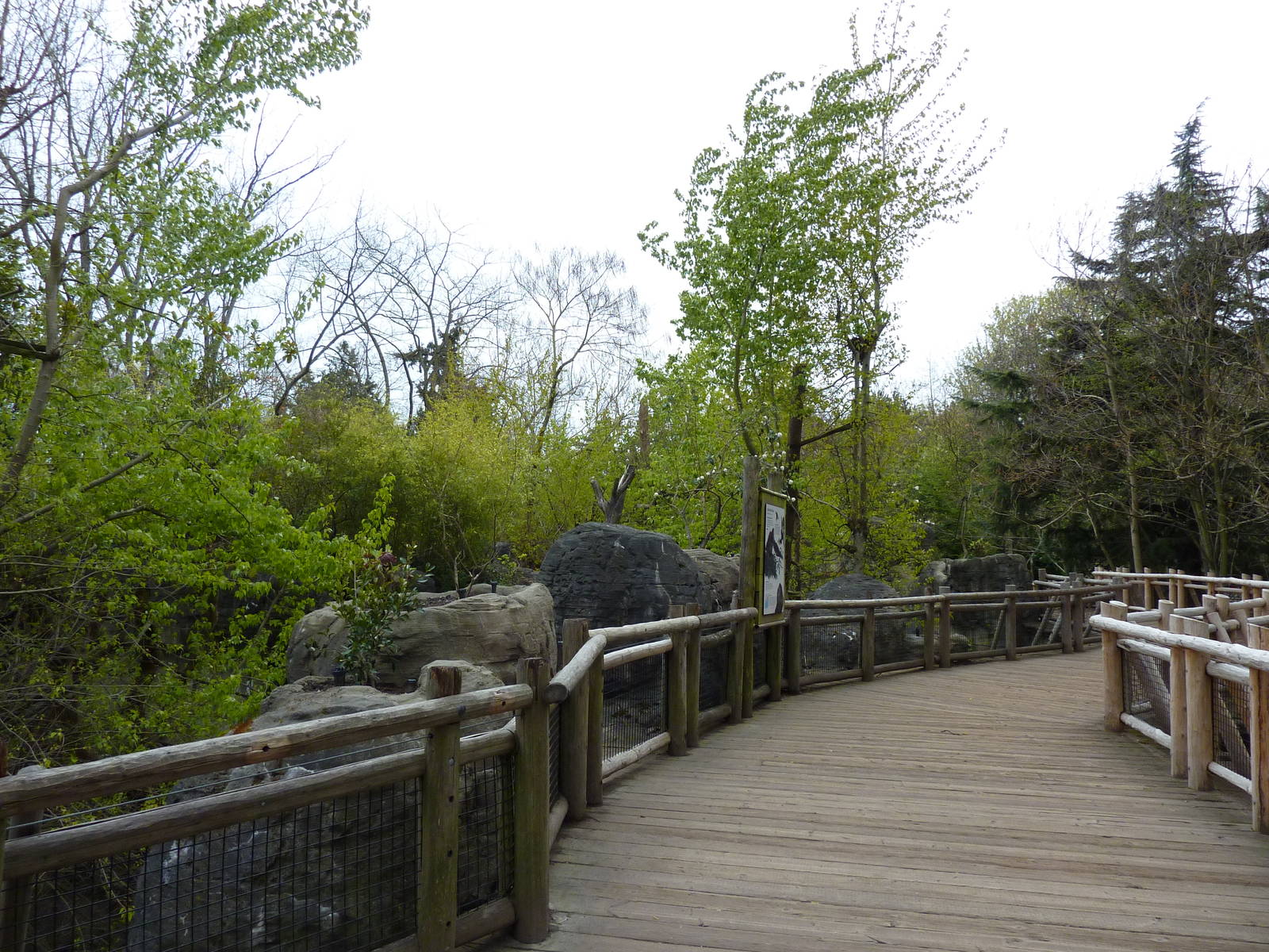 Orangutan Exhibit - Boardwalk Viewing Area