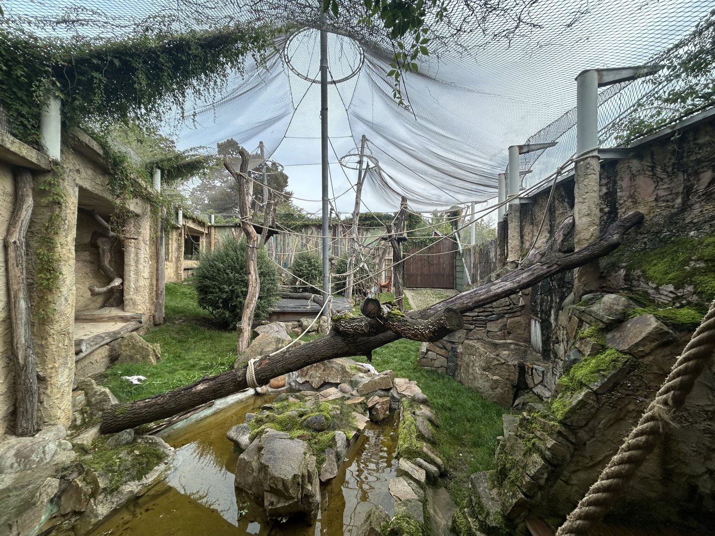 Orangutan Exhibit - Indonesian Jungle Pavillon