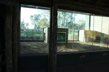 Orangutan Exhibit - June 11, 2011