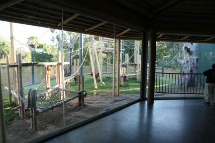 Orangutan Exhibit - June 11, 2011