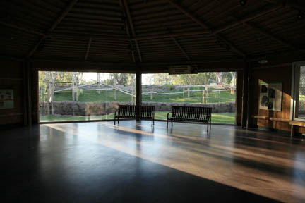 Orangutan Exhibit - June 11, 2011