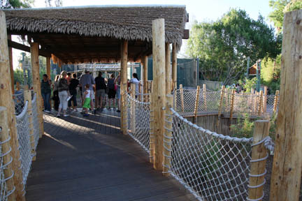 Orangutan Exhibit - June 11, 2011