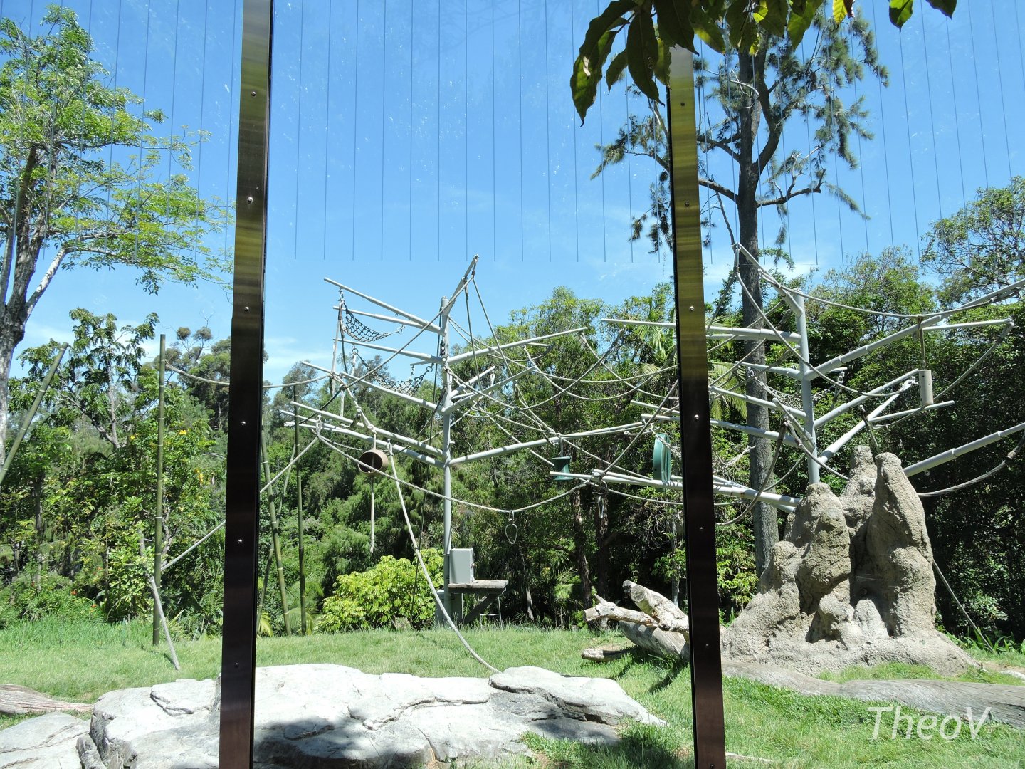 Orangutan exhibit - Lost Forest [2015]