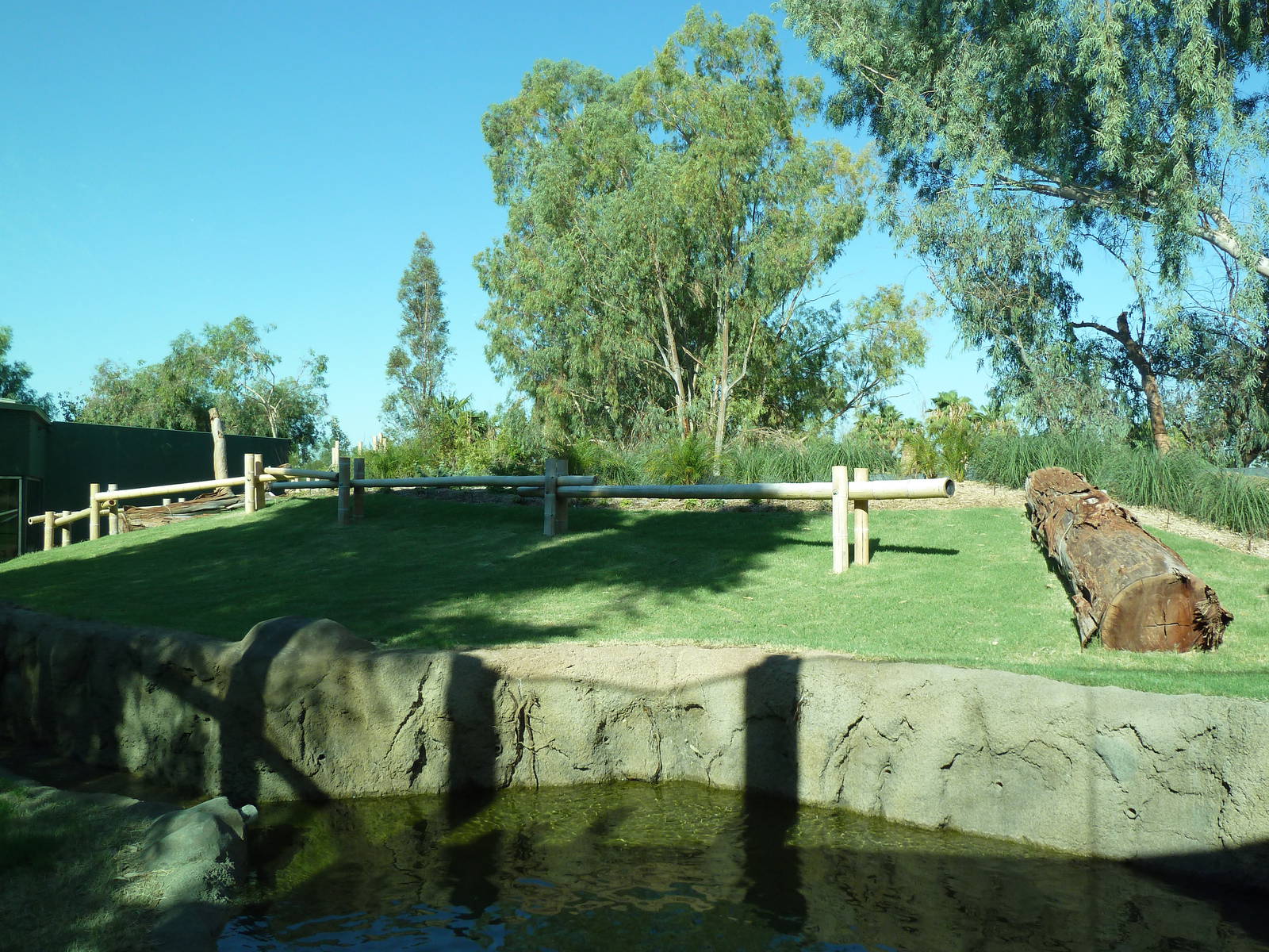 Orangutan Exhibit - New In 2011