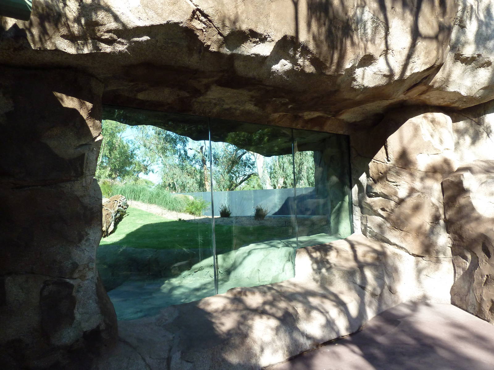 Orangutan Exhibit - New In 2011