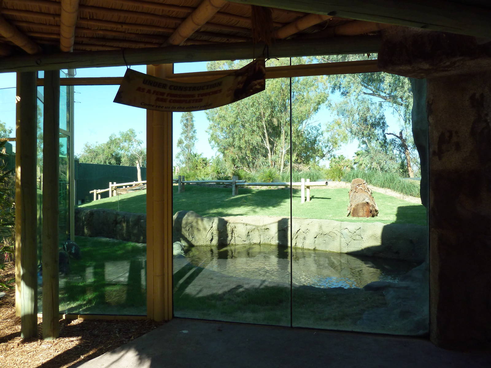 Orangutan Exhibit - New In 2011