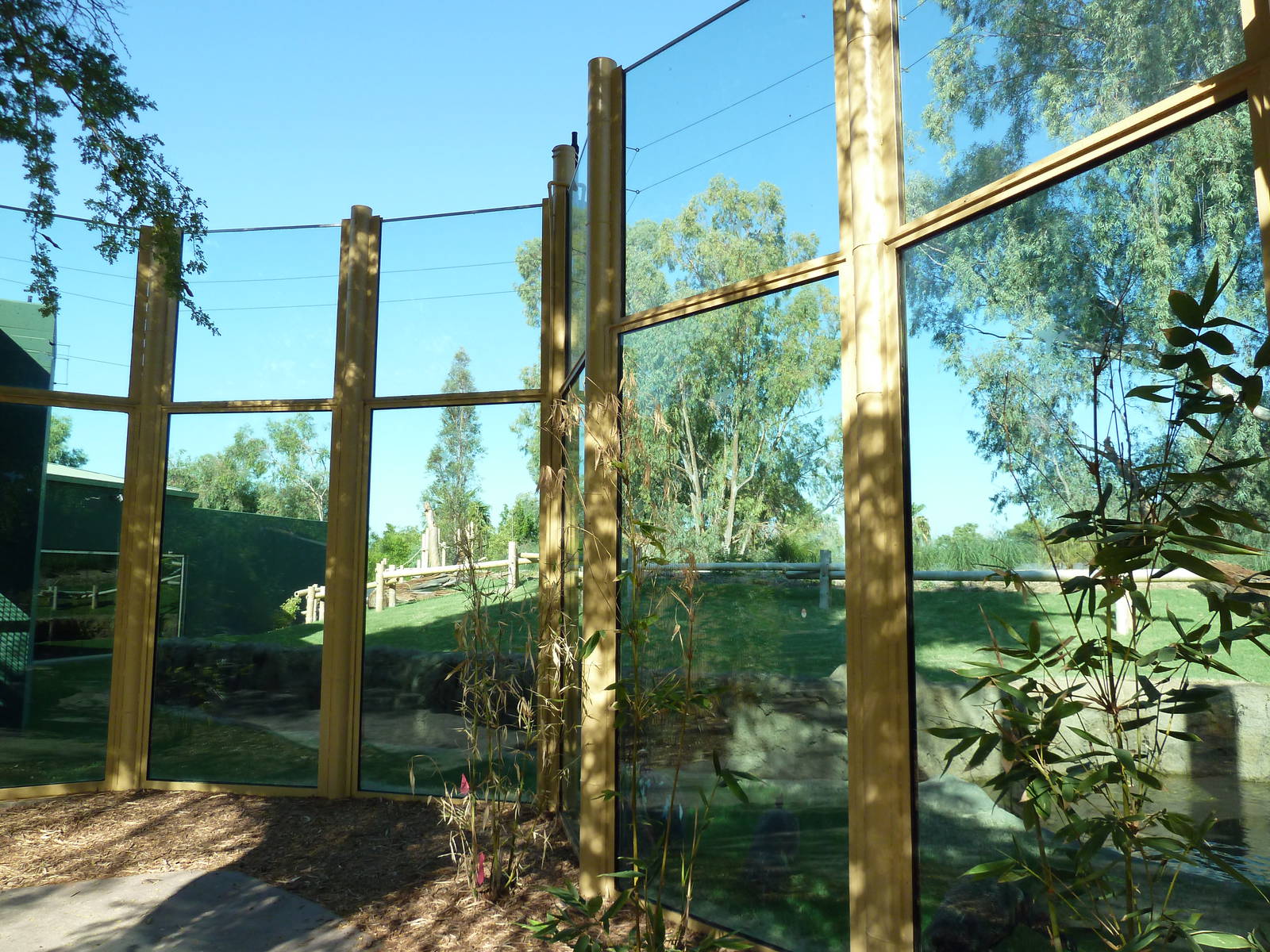 Orangutan Exhibit - New In 2011