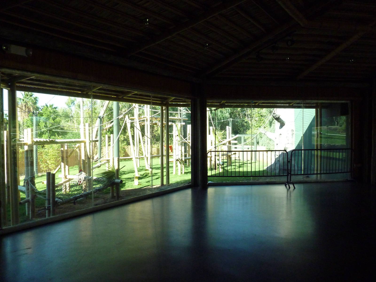 Orangutan Exhibit - New In 2011