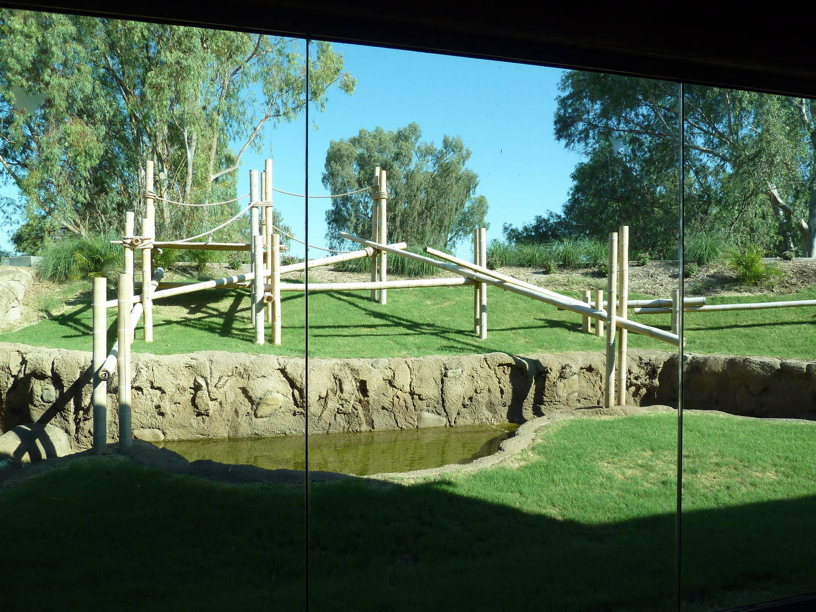 Orangutan Exhibit - New In 2011