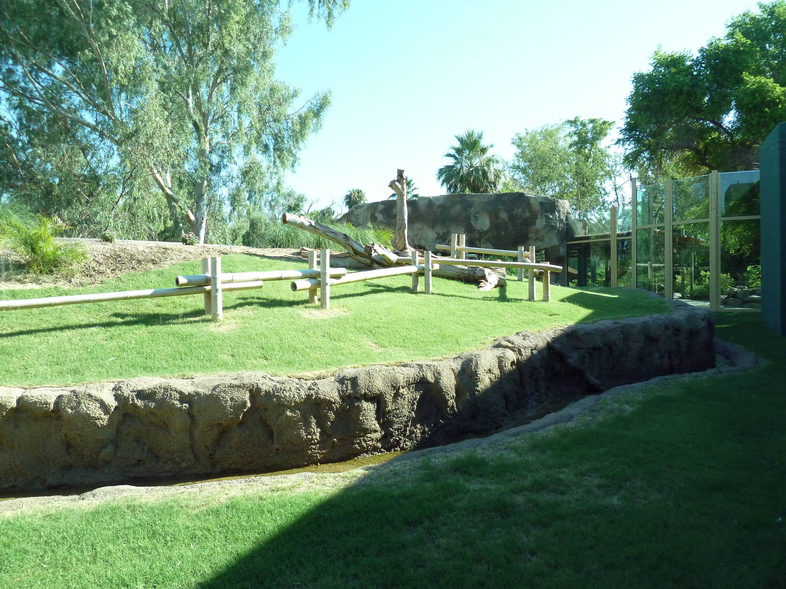 Orangutan Exhibit - New In 2011