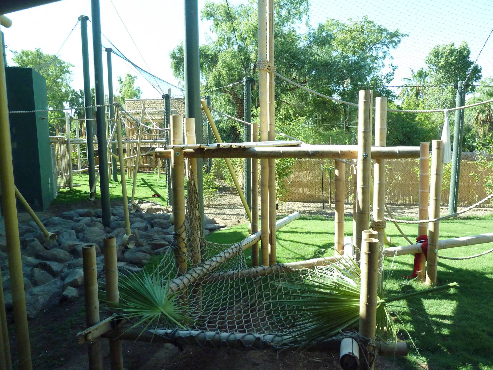 Orangutan Exhibit - New In 2011